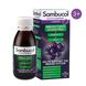 Immuno Forte Liquid Sugar Free - 120ml 2022-10-2766 фото 1