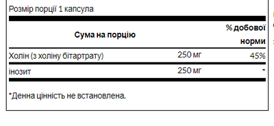 Choline Inos 250mg - 250caps 100-89-8861758-20 фото